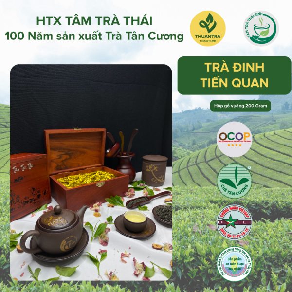 Hop Qua Tang Go Vuong Tra Dinh Tien Quan HTX Tam Tra Thai Tra Thai Nguyen Chuan VietGap OCOP 4 Sao 250 Gram